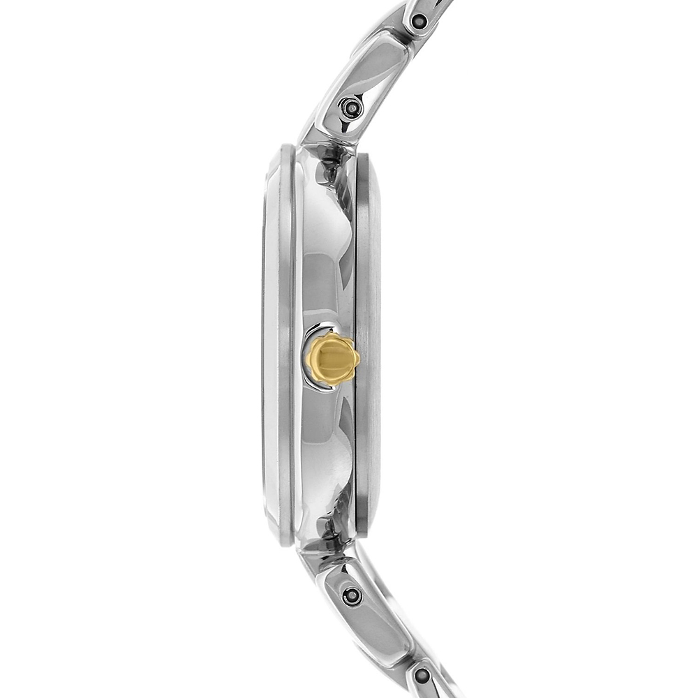 Citizen EW2506-81Y zegarek damski Titanium