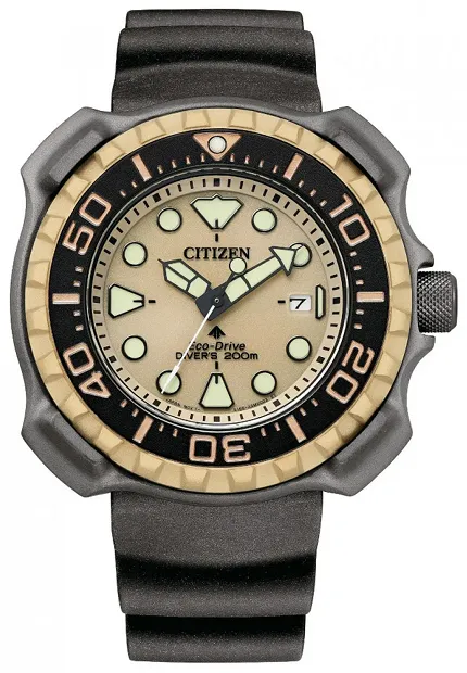 BN0226-10P Promaster