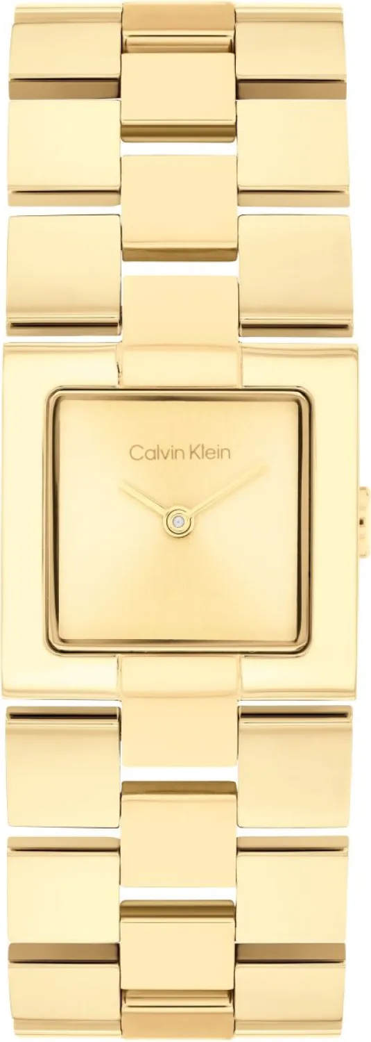 CK MERIDIAN Calvin Klein 25100089 