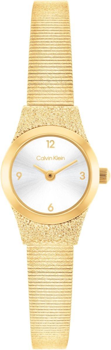 CK Contemporary Calvin Klein 25100193 