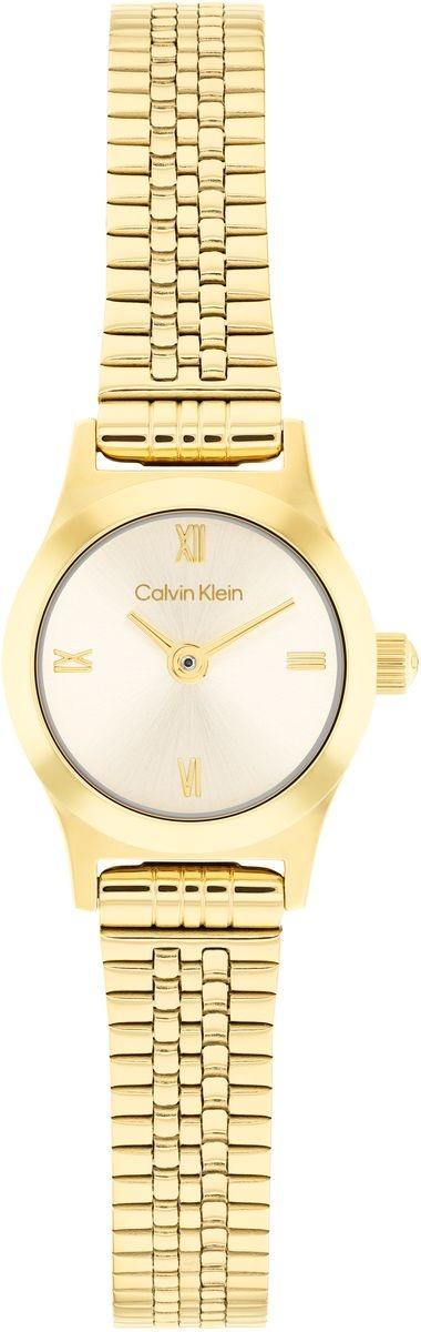 CK Contemporary Calvin Klein 25100201 