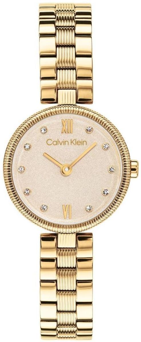Gleam Calvin Klein 25100225 