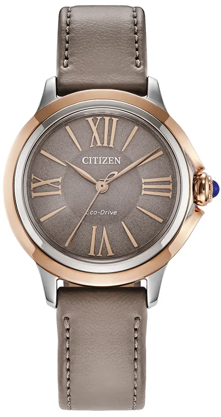Citizen EM1166-01Z
