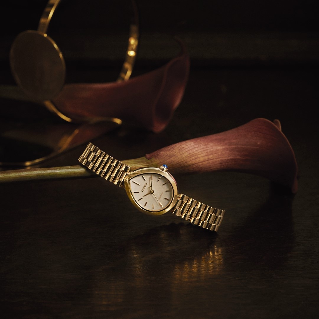 Citizen EM1208-53A zegarek