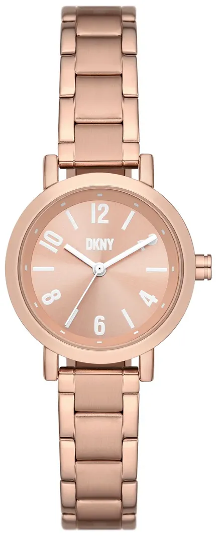 DKNY NY6679