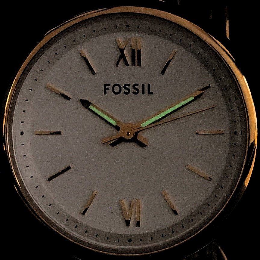 Fossil ES5272 Damskie CARLIE SIGNATURE CHAIN zegarek damski klasyczny mineralne