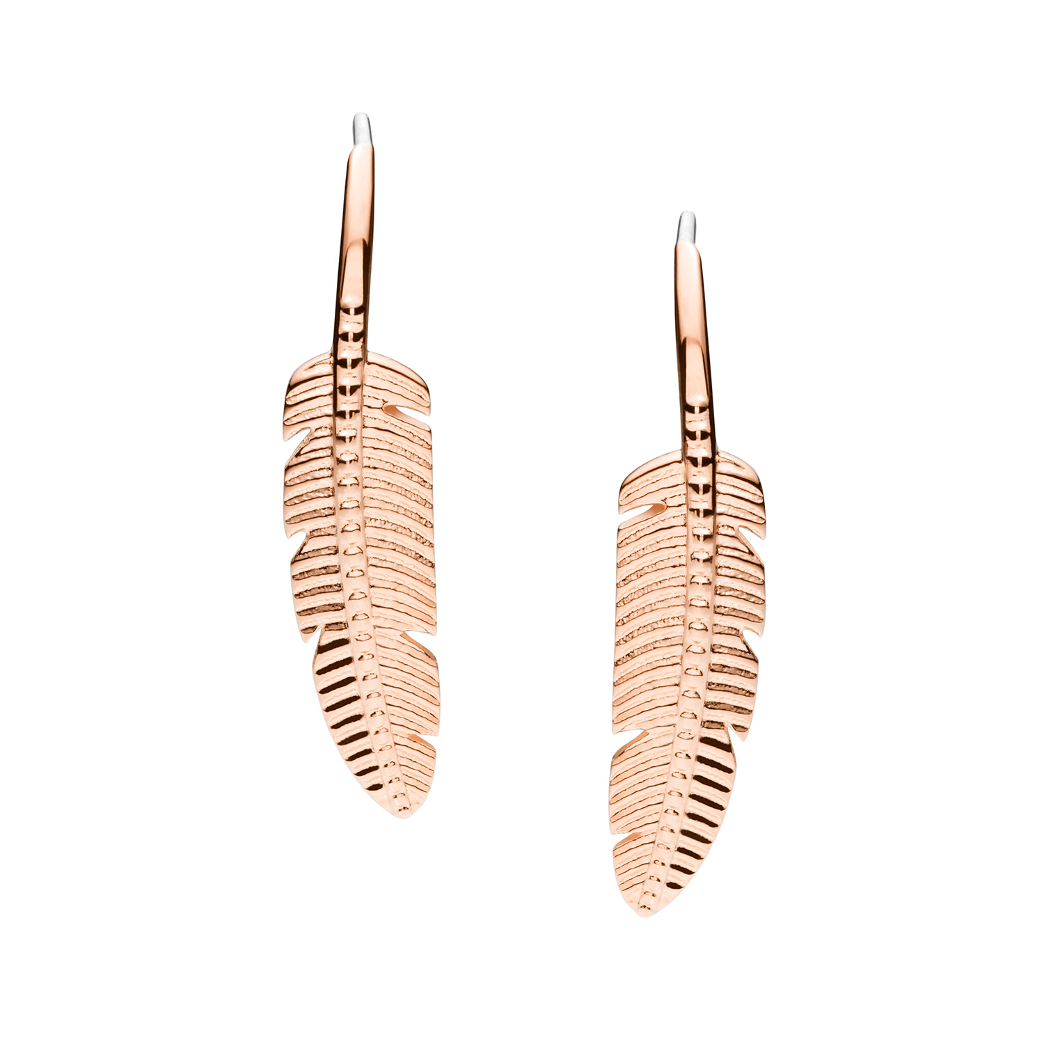Fossil JF03668791 - miniatura 1
