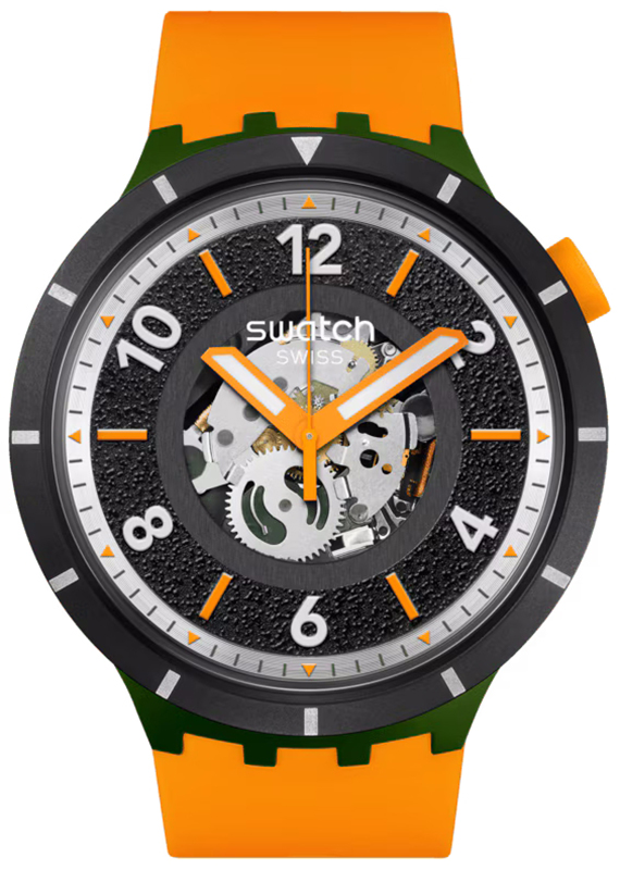 FALL-IAGE Swatch SB03G107 