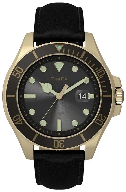 Timex TW2V42200