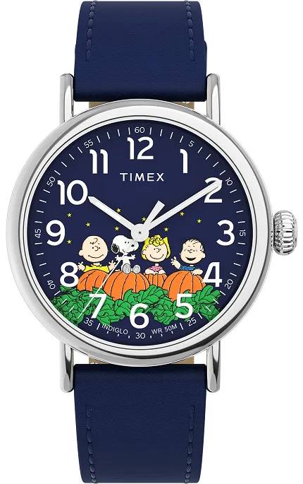 Timex TW2W72700