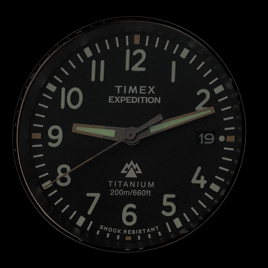 Timex TW2W78100 Expedition Expedition Titanium pasek