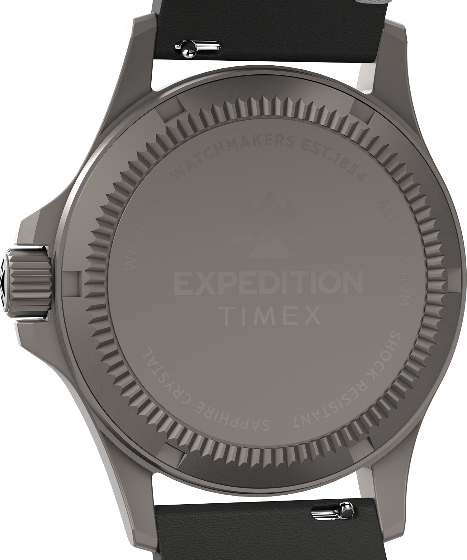 Timex TW2W78100 zegarek