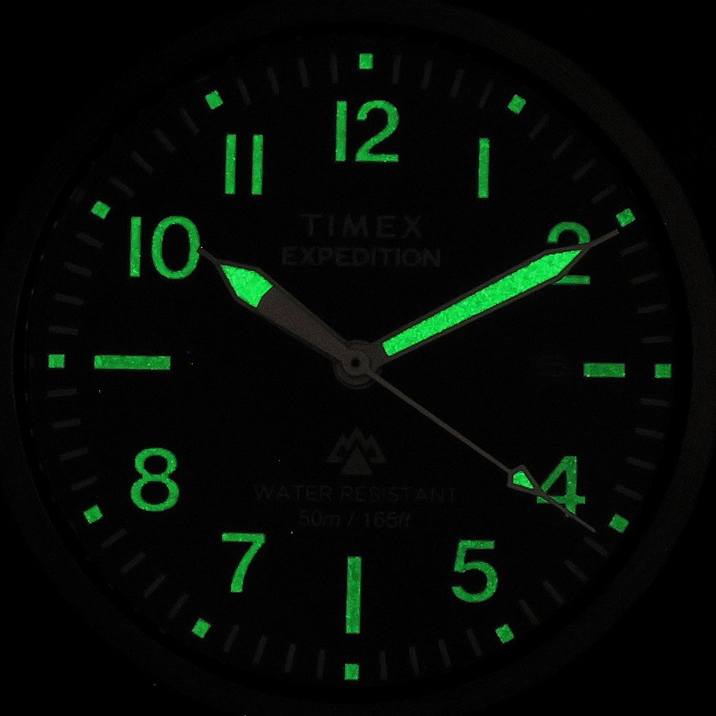Timex TW2Y18000 zegarek męski klasyczny Expedition pasek