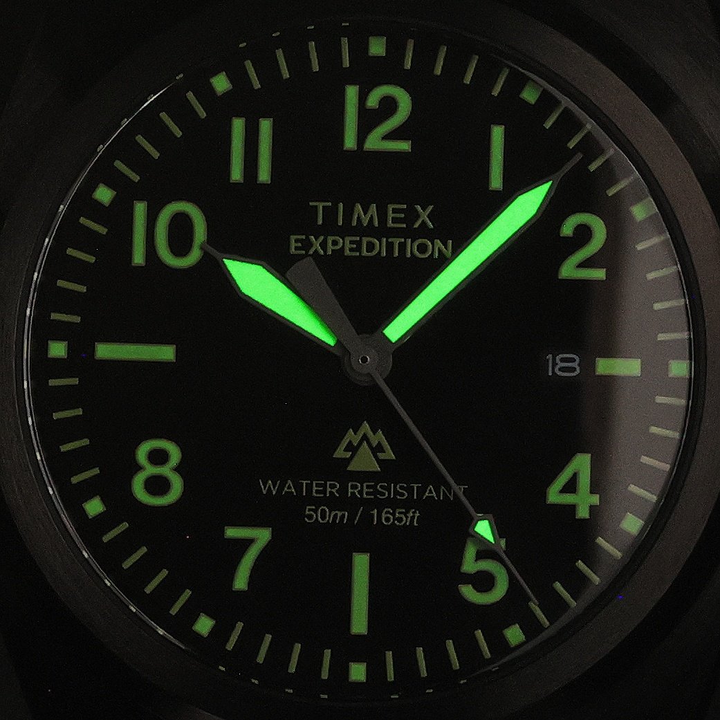 Timex TW2Y18100 zegarek męski Expedition czarny