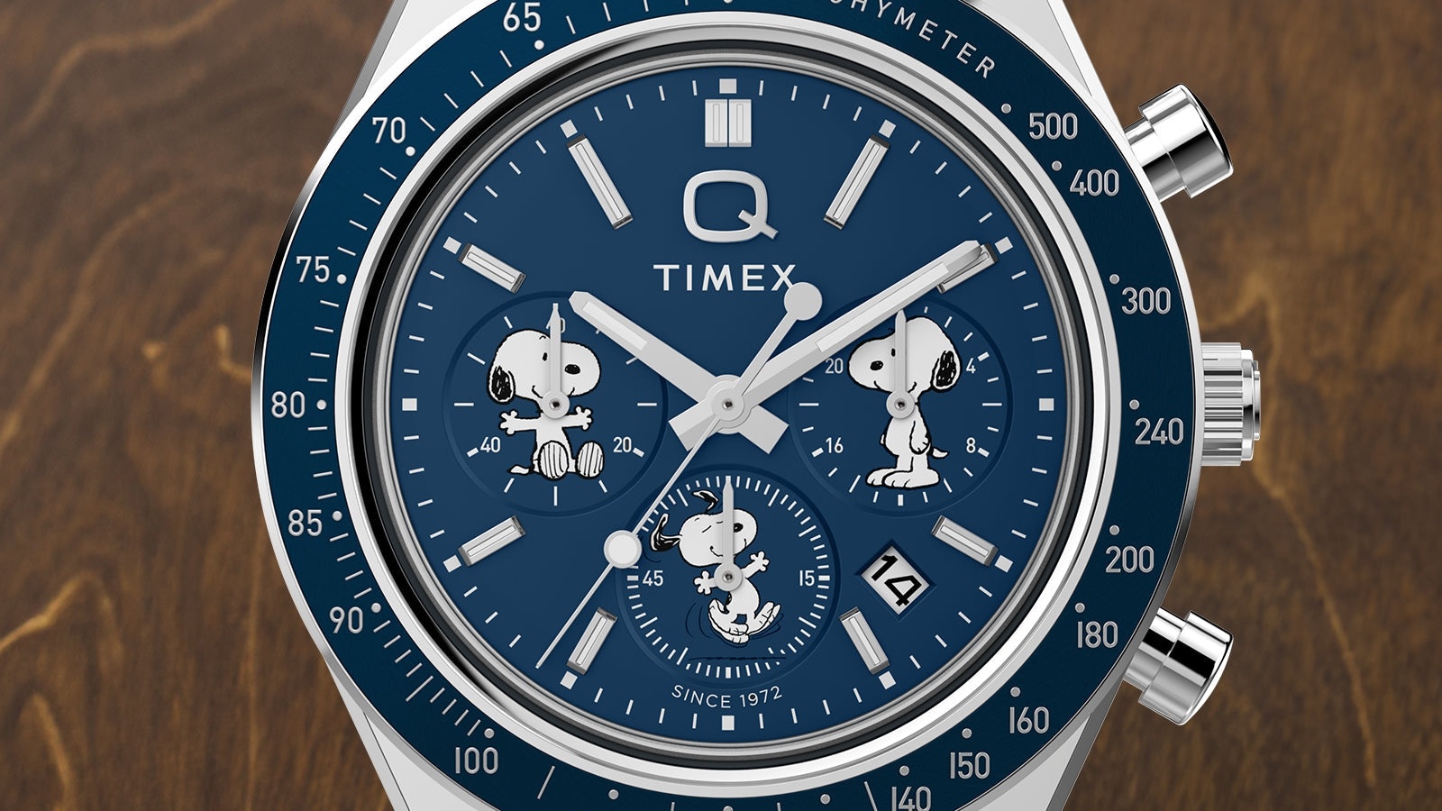 Timex TW2Y45300 zegarek