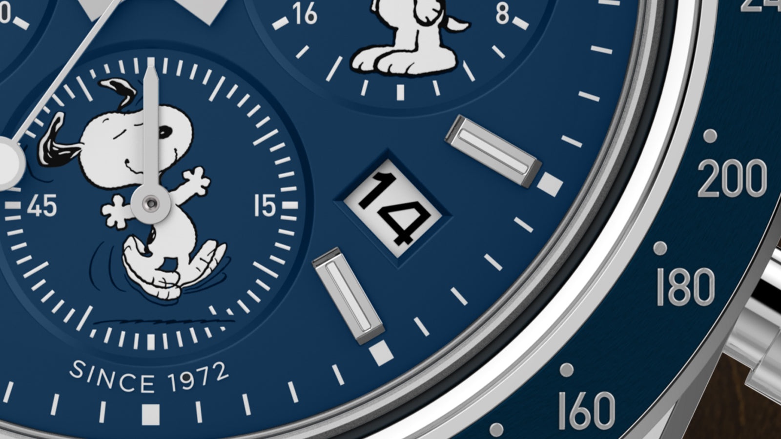 Timex TW2Y45300 zegarek