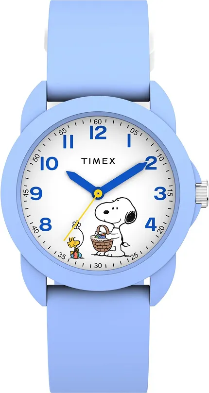 Timex TW2Y51100