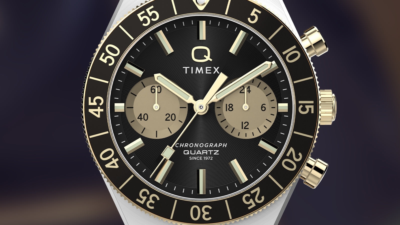 Timex TW2Y56000 zegarek