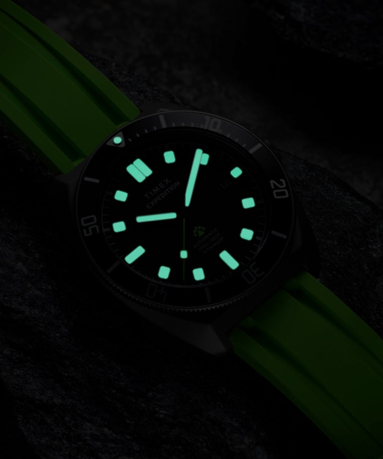 Timex TW2Y63700 zegarek