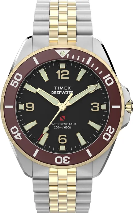 Timex TW2Y64700
