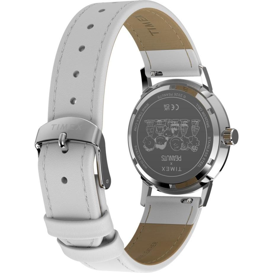 Timex TW2Y68800 zegarek