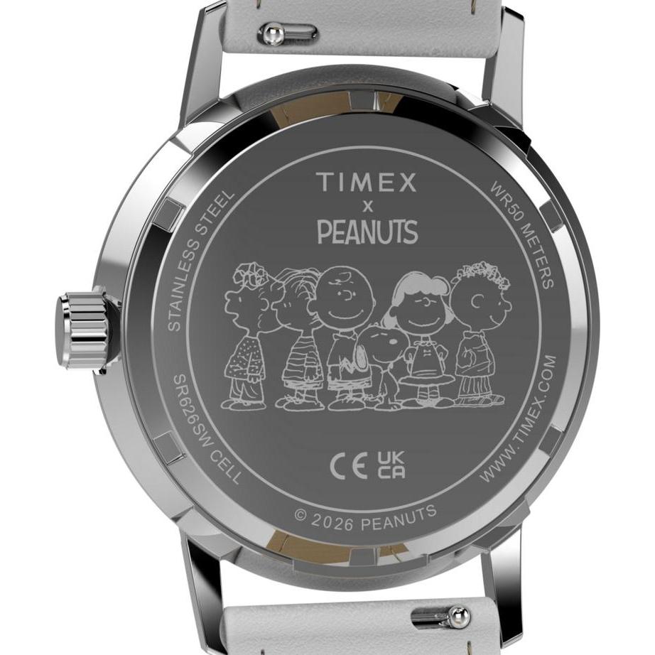 Timex TW2Y68800 zegarek