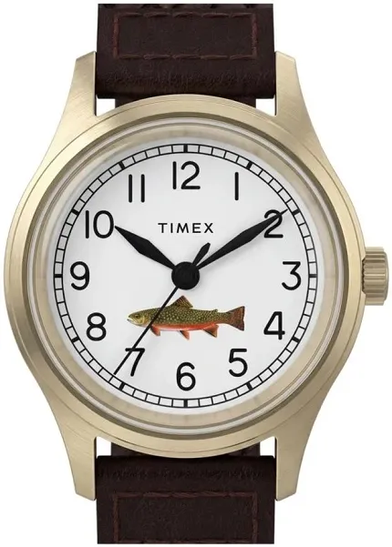 Timex TW2Y78500