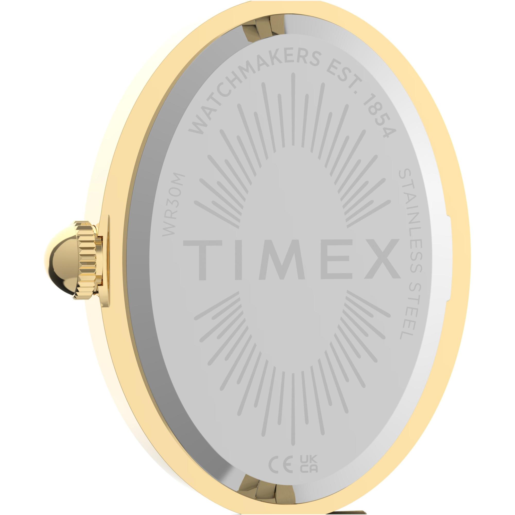 Timex TW2Y86200 zegarek