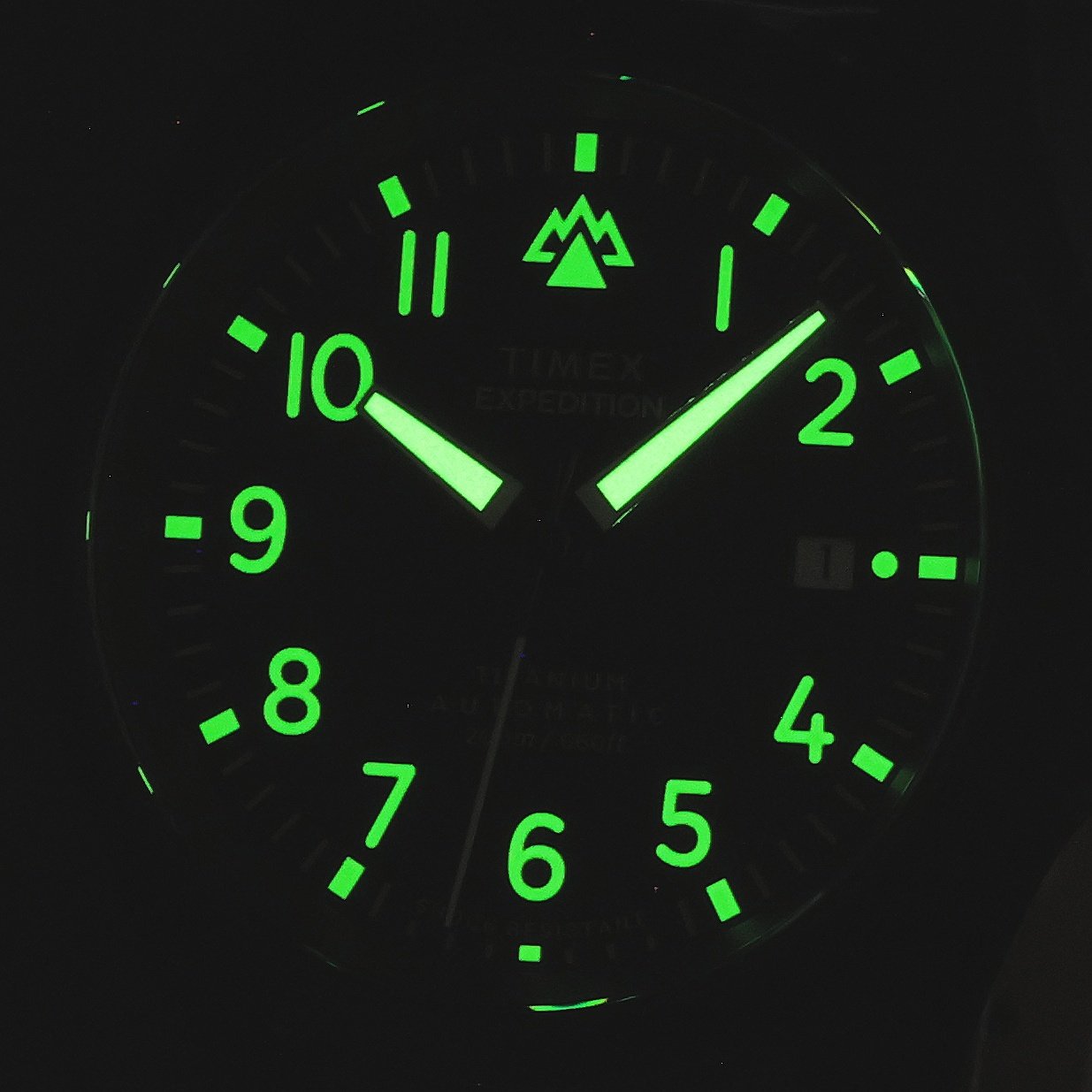 Timex TW2Y90900 Expedition zegarek męski