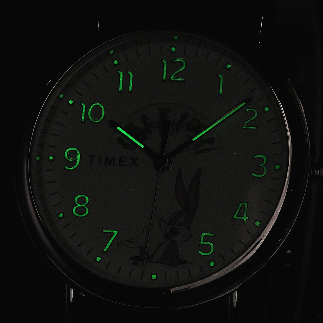 Timex TW2Y99100 Standard zegarek męski - miniatura 5