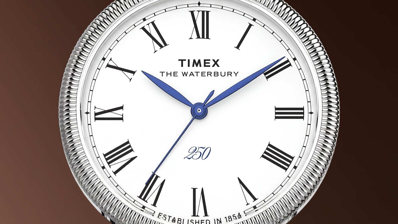 Timex TW6A05900 zegarek