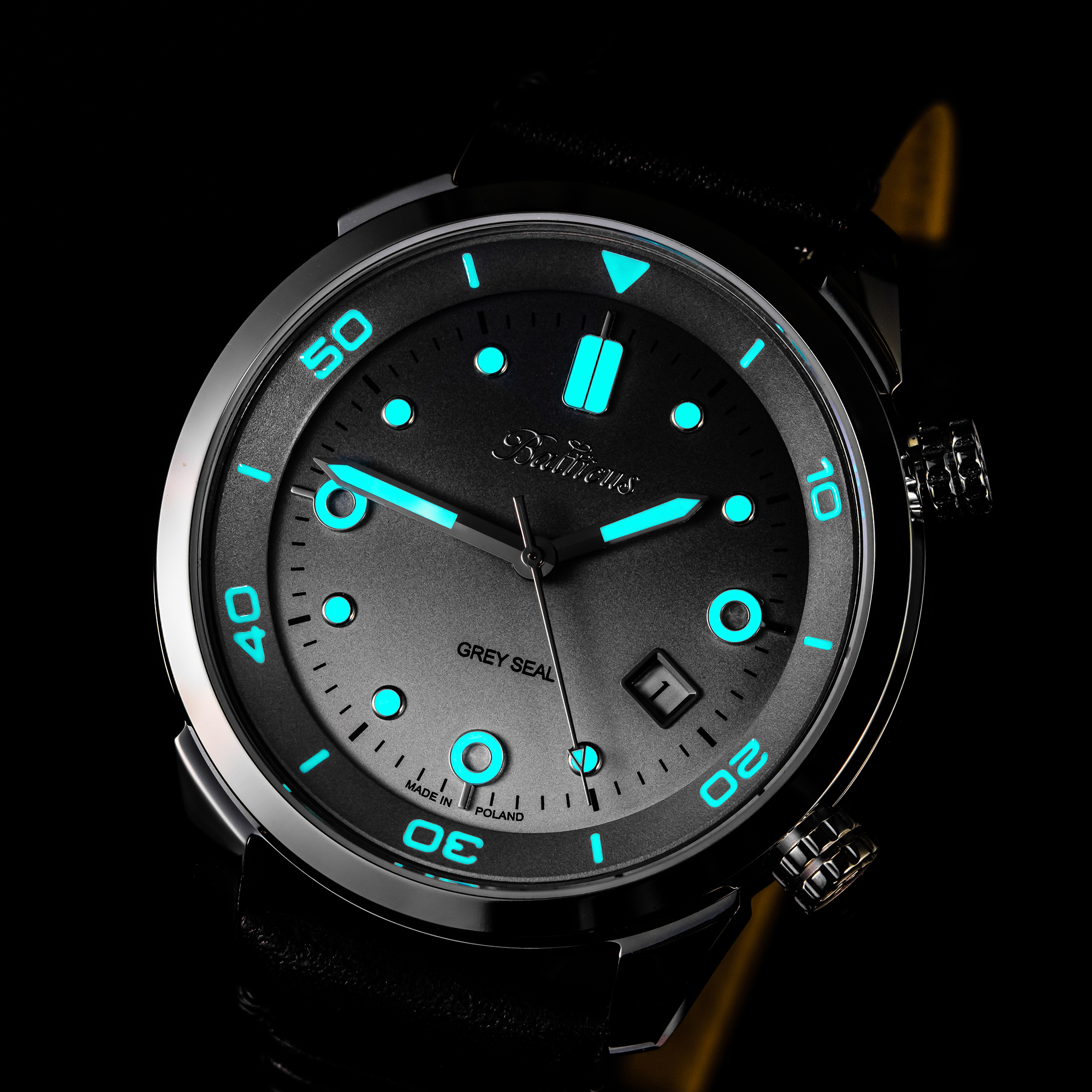 zegarek Balticus BLT-BALGSRG Grey Seal Limited Edition Grey Seal szafirowe