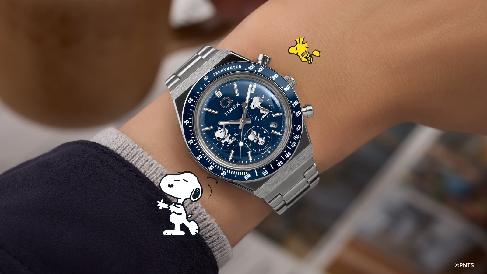 zegarek Timex TW2Y45300