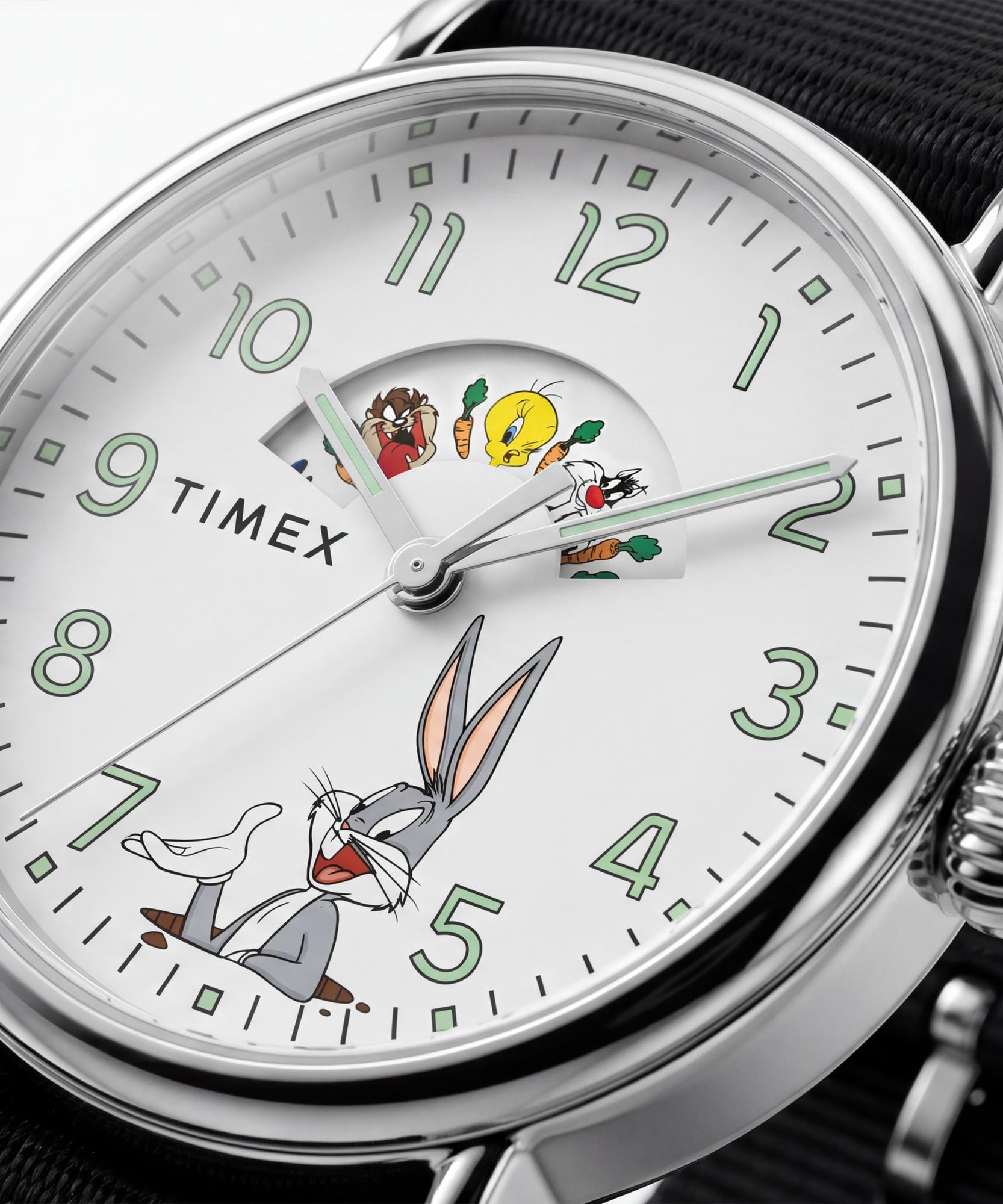 zegarek Timex TW2Y99100