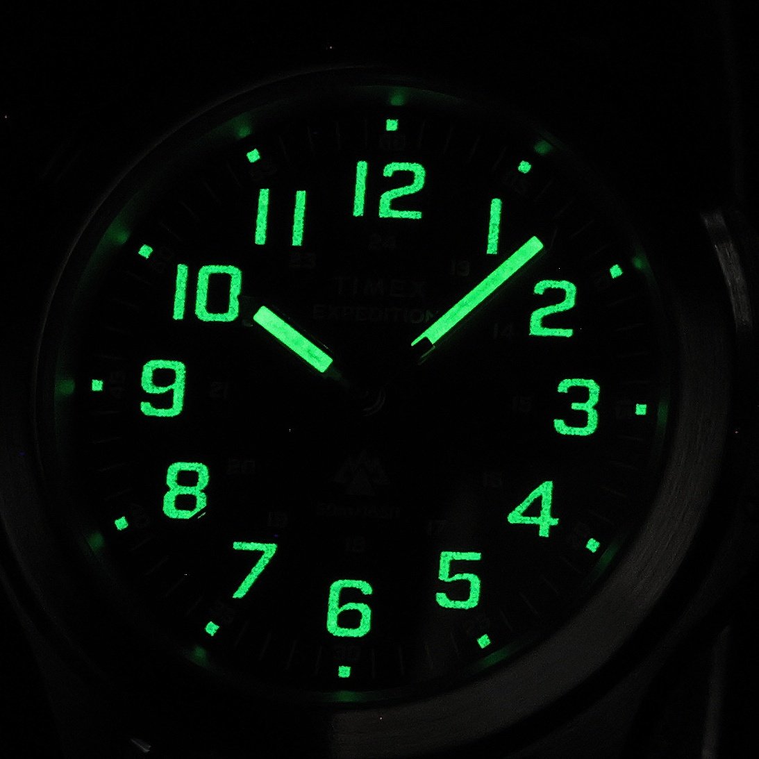 zegarek Timex TW4B35700 North Field Expedition szafirowe