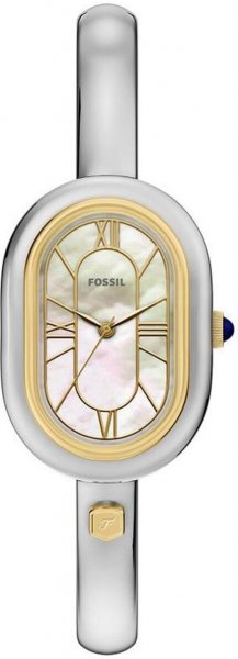 Fossil Sloan ES5455