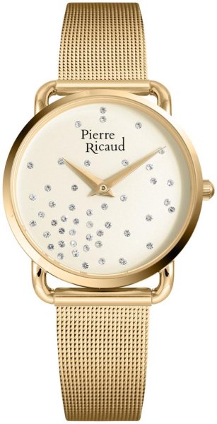 Pierre Ricaud P21066.1141Q